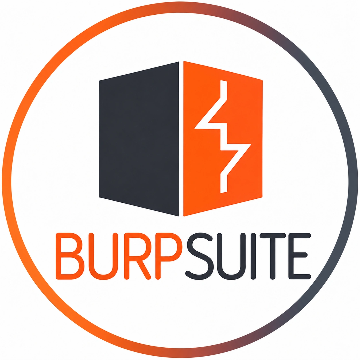 Burp Suite Burp Suite